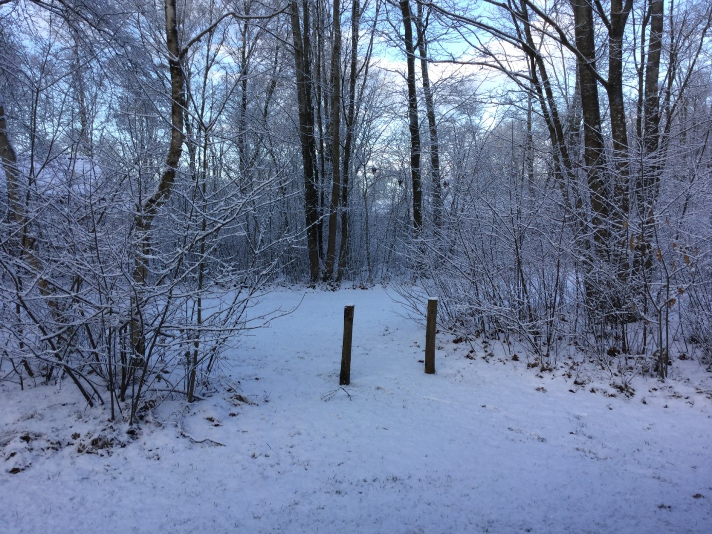 Sneeuw Echten